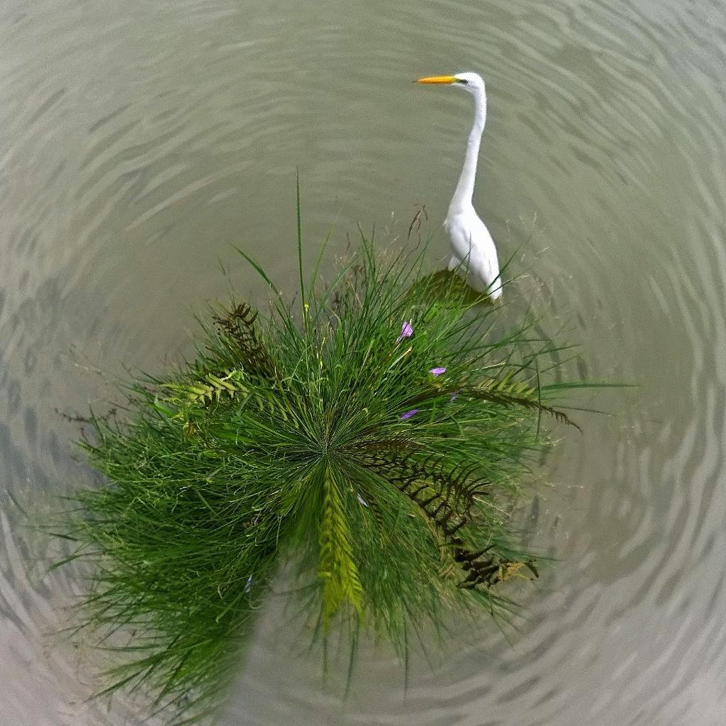magushi72's tweet photo. #Lumia1020 #ShotOnMyLumia #Tinyplanetspro @Lumia @lumiabrasil @lumiaitalia @lumiauk @lumiaUAE  @windowscentral http://t.co/rYd4B5egcU