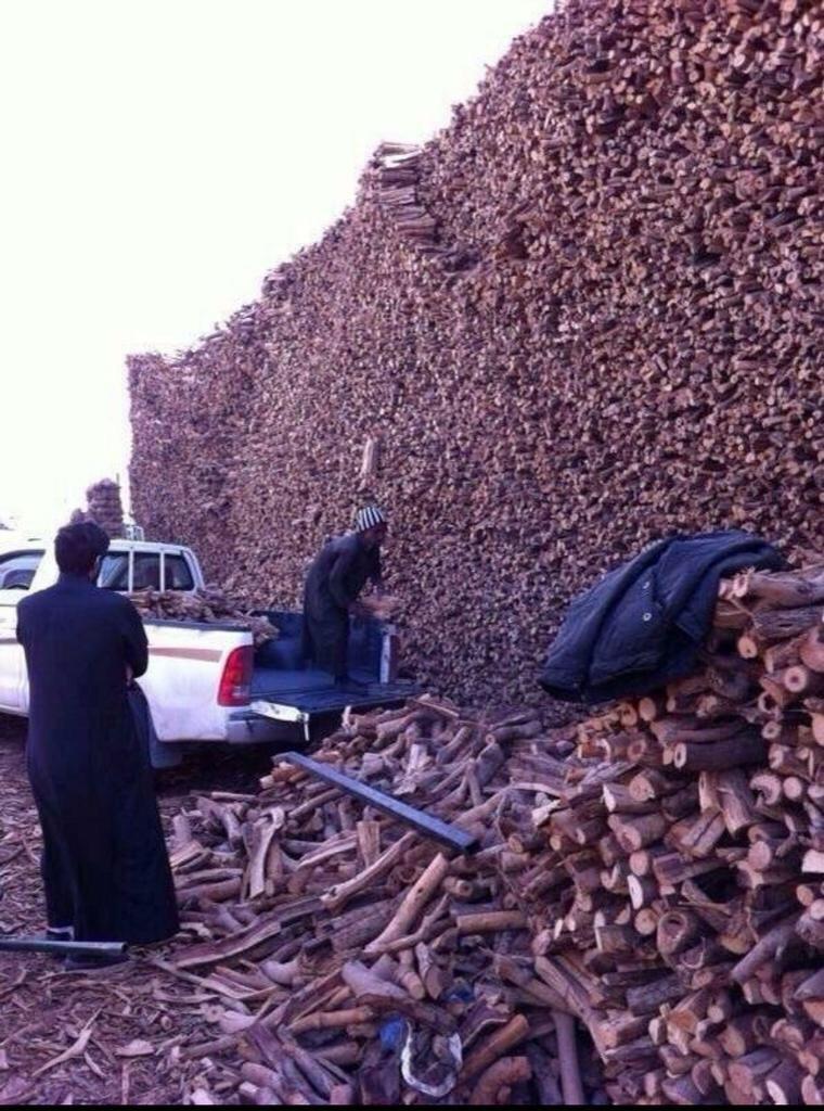 iContent_AR's tweet photo. #صورة: هذه الأخشاب ليست من غابات الامازون الشهيرة .. إنها من صحاري المملكة!! هذا هو #الإرهاب_البيئي. |
عبر: @Alsoqeer http://t.co/RdWkkfsVq5