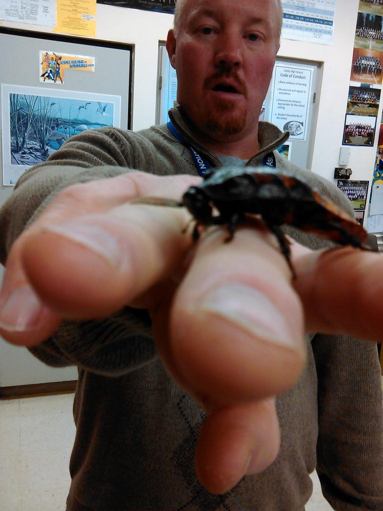 Dani_Offical's tweet photo. Madagascar cockroaches in science shout out to Jay Mull #Roachin http://t.co/IDY4znnyoU