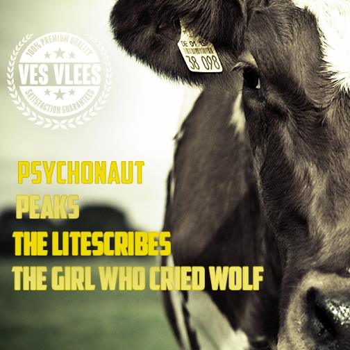 pr0jectw0lf's tweet photo. Psychonaut, PEAKS, The Girl Who Cried Wolf en The Litescribes spelen vrijdag 5/12 in de @Club__Kamikaze op Ves Vlees. http://t.co/eafV1hUz1V