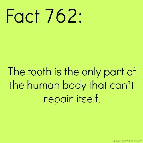 AshandraBatiste's tweet photo. #funfact #houstondentist #elitedentalwellness #learnsomething http://t.co/Nnw40AbUds
