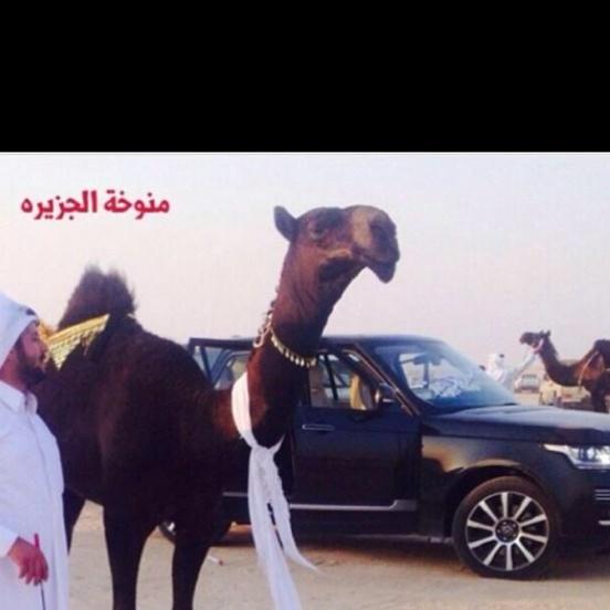 ساام السيد
عويض بن ناصر البعاج القرفي 

المفروده المشهوره (منوخه الجزيره)
ب سبع ميه الف 
من السيد 
محمد عايض القحطاني