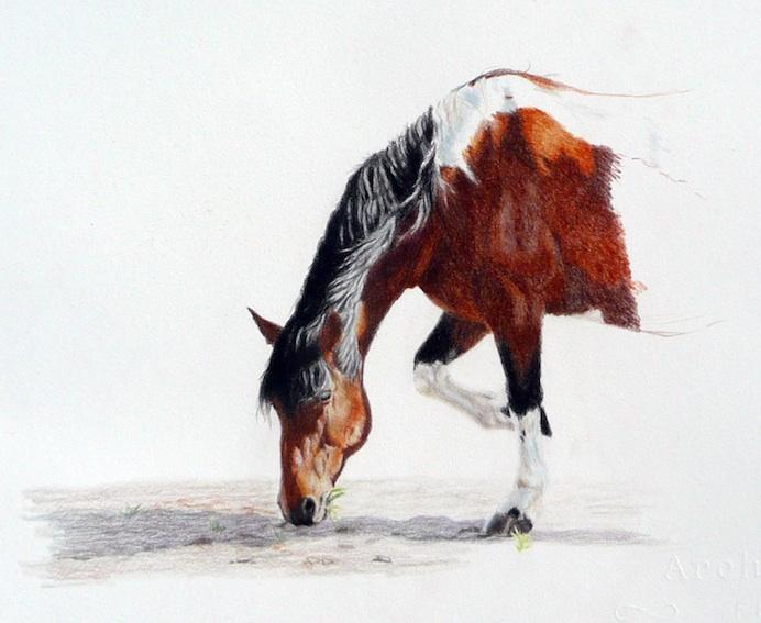 KateJenveyArt's tweet photo. 'Shadow &amp; sheen' was my latest 2 day #colourpencil workshop that I tutored &amp; this is my unfinished demo piece. http://t.co/c8g6Y7q61w