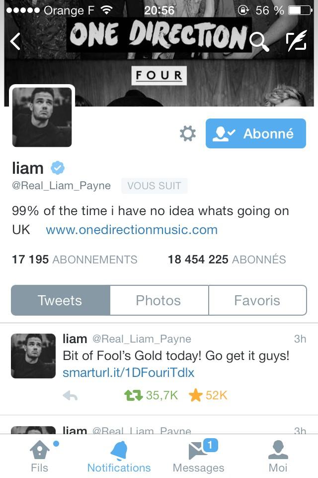 horansley's tweet image. qui veut un dm à Liam? je dm tt le monde💕allez me follow &amp;amp; @harrynutile  avant &amp;amp; tweetez moi qd c'est fait je vérifie