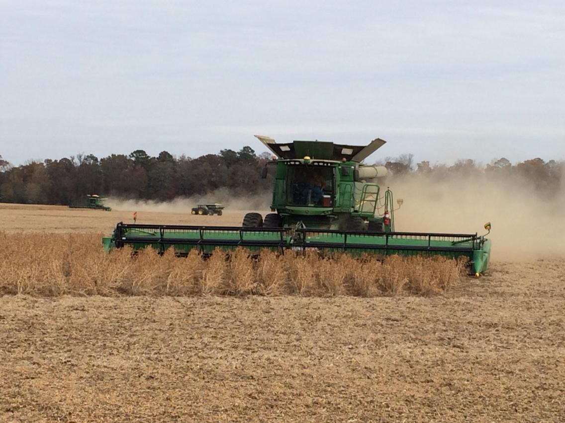 JonathanSpruell's tweet photo. #harvest14 @Tractorquotes @TractorPictures Soybeans are wrapping up with 2 of these awesome machines eating them up. http://t.co/gv5WyyoC60