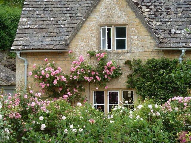 pixts's tweet photo. i want a house covered in flowers http://t.co/YabQoRnXEq
