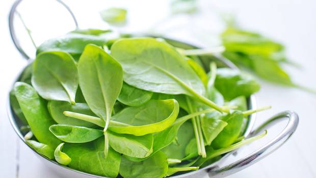 24HorasTVN's tweet image. ¿Verano sin polera? Estos son los 30 alimentos que te ayudarán a quemar grasas → bit.ly/1xCdnaI