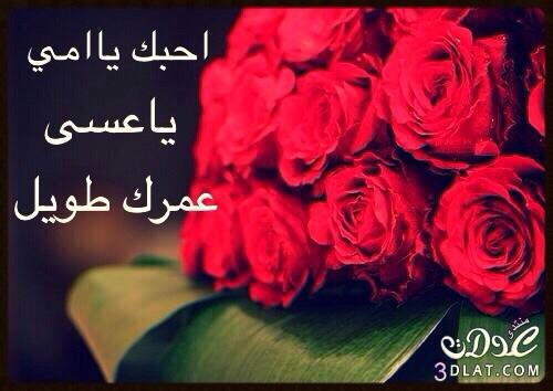 ما 51D5868B (@memoo7707s) on Twitter photo 