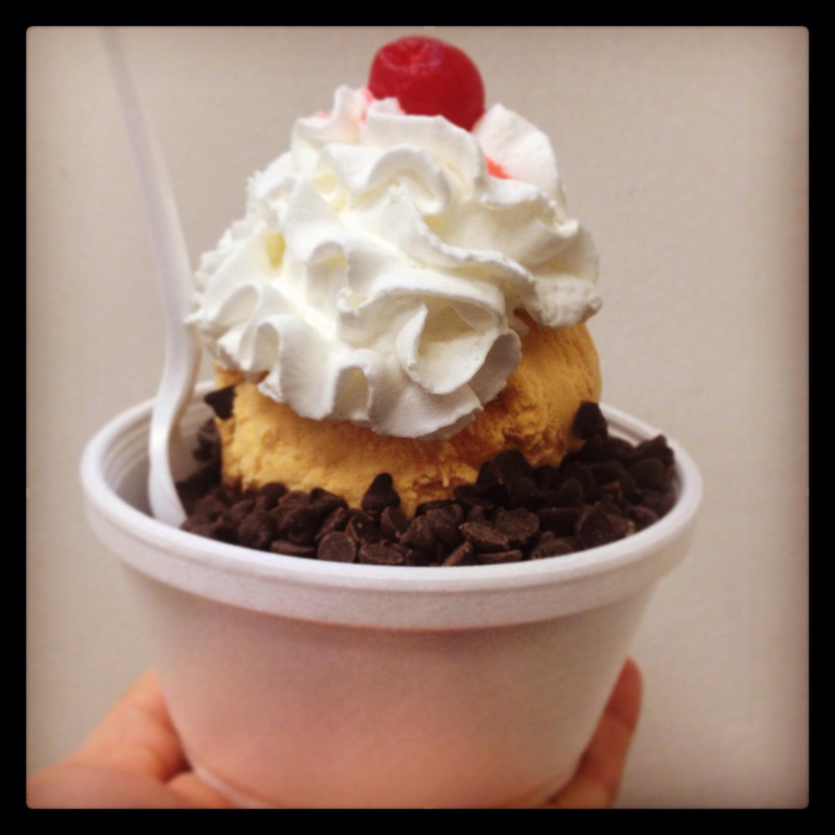 hoffmansnj's tweet photo. Pumpkin with chocolate chips! T-15 days till Thanksgiving! #hoffmans #hoffmansicecream #pumpkin #thirtydaysofpumpkin http://t.co/257a70RruM