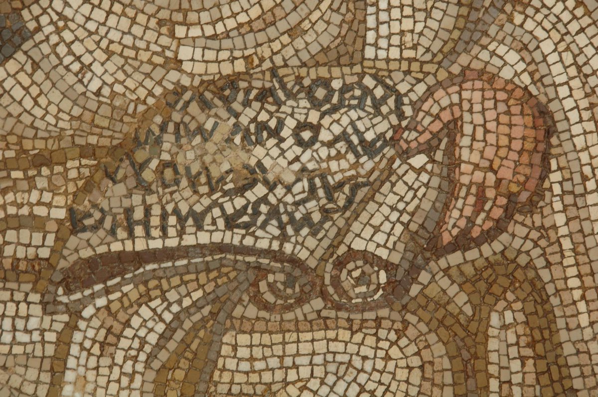 pompei79's tweet photo. Musa mihi causas memora, quo numine laeso 
Quidve
Virgil's text: verse 8 &amp; start of 9 of the Aeneid
@llewelyn_morgan http://t.co/P3tyxc10GH