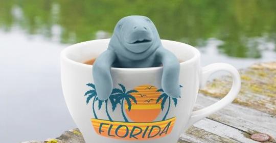 50 Awesome Stocking Stuffers That Don’t Suck dodoburd.com/stocking-stuff…