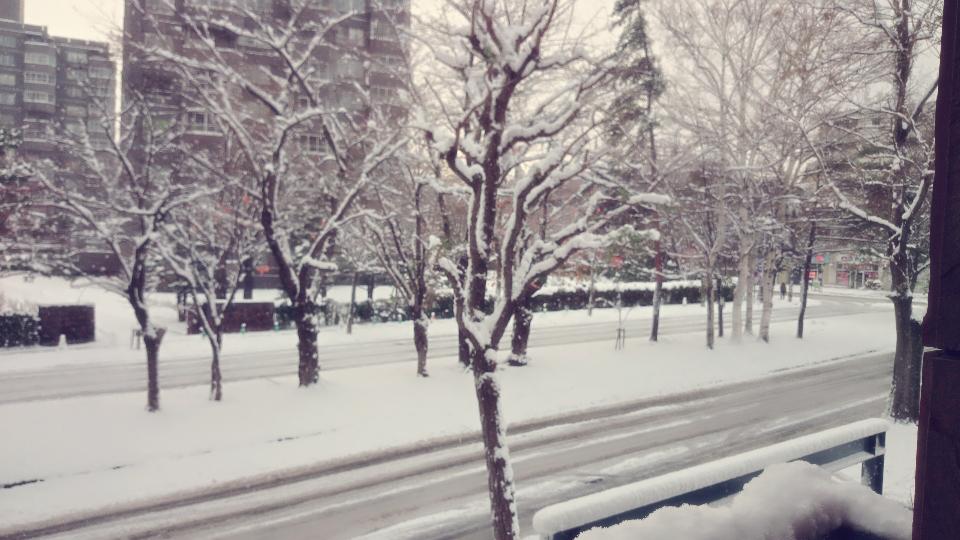 arashi13616's tweet photo. 外雪積もってる😂 😭 http://t.co/iQUx64mKdH
