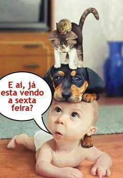 Boa madrugada a todos;-);-);-);-);-)