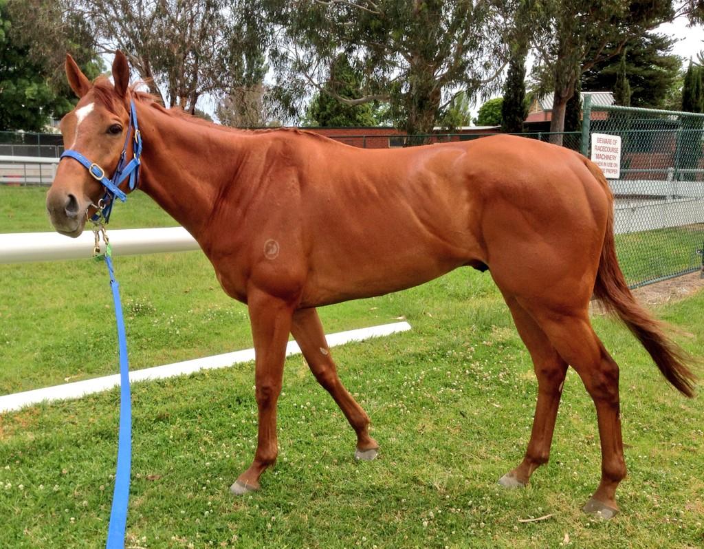 henrydwyer tweet picture