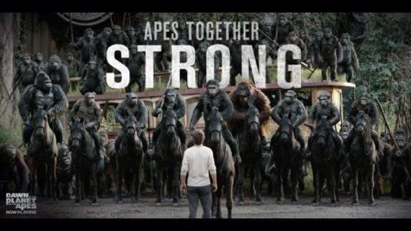 ape_rocket's tweet image. Apes now on DVD! Watch us humans!