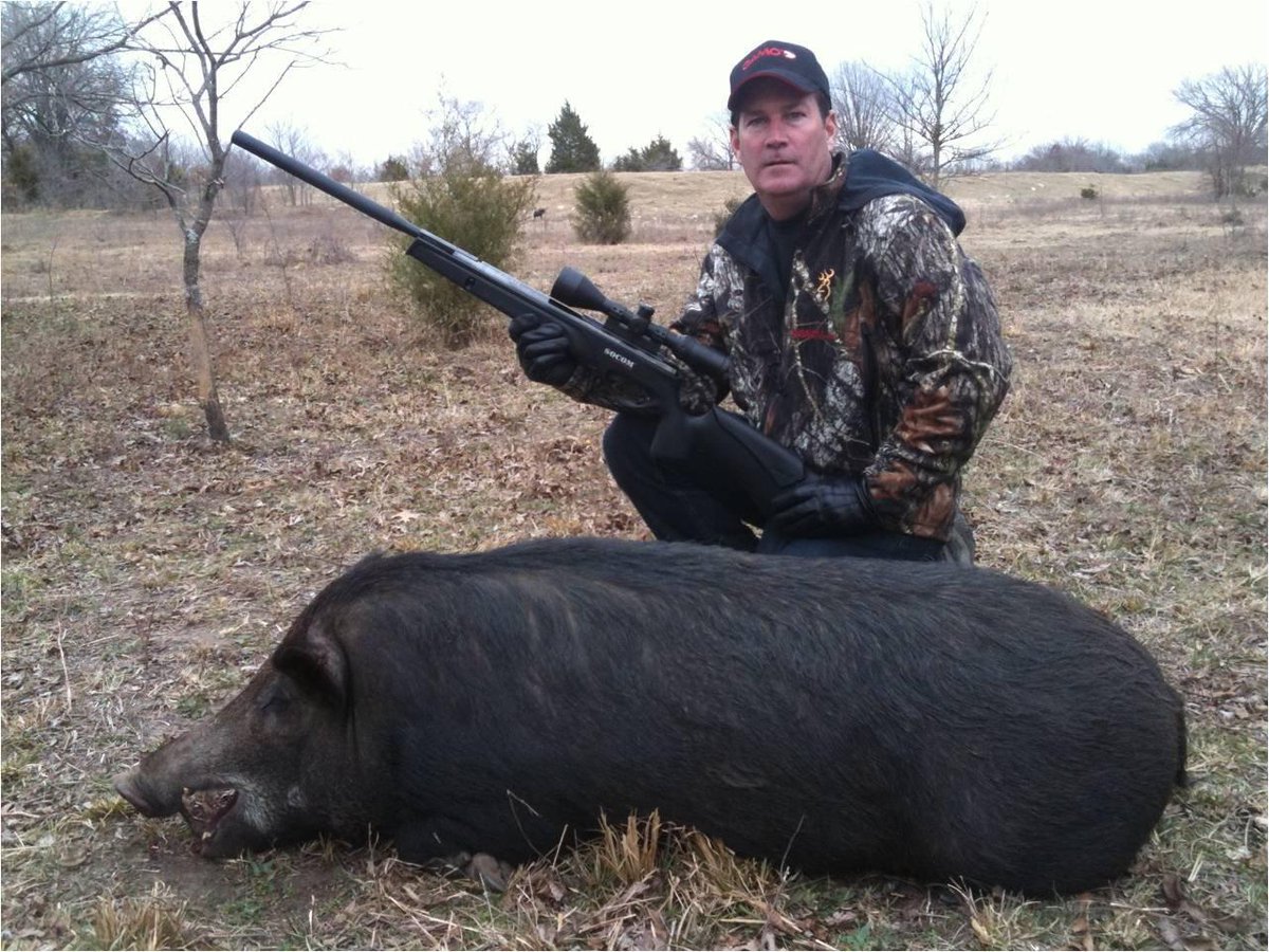 Gamo Outdoor Usa On Twitter Tbt 400 Pound Boar Hog Shot By Sr tbt 400 pound boar hog shot by sr
