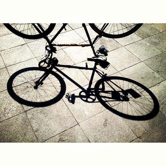 CriticalCycles's tweet photo. mi shadow es su shadow #mycritical #criticalcycles #fixienation #fixedgear #singlespeed #fixie #thefixedlife http://t.co/MOeFDzbCBP