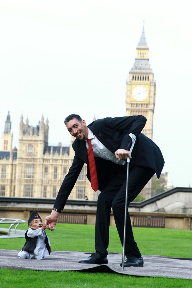 Is the shortest in the world. Рекорды гиннесса с комаровым. Is the shortest in the world. Is the shortest in the world. Is the shortest in the world.