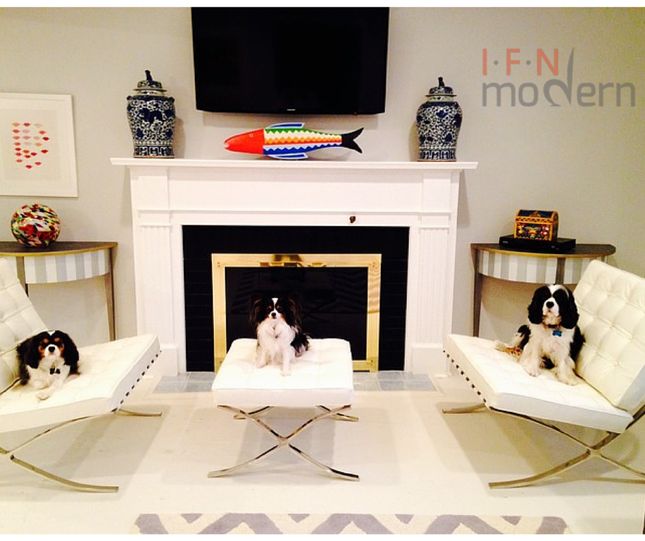 IFNmodern's tweet image. Our #Barcelonachairs are so comfy that even our customer's #dogs love them!
#cute #design #midcenturymodern #interior