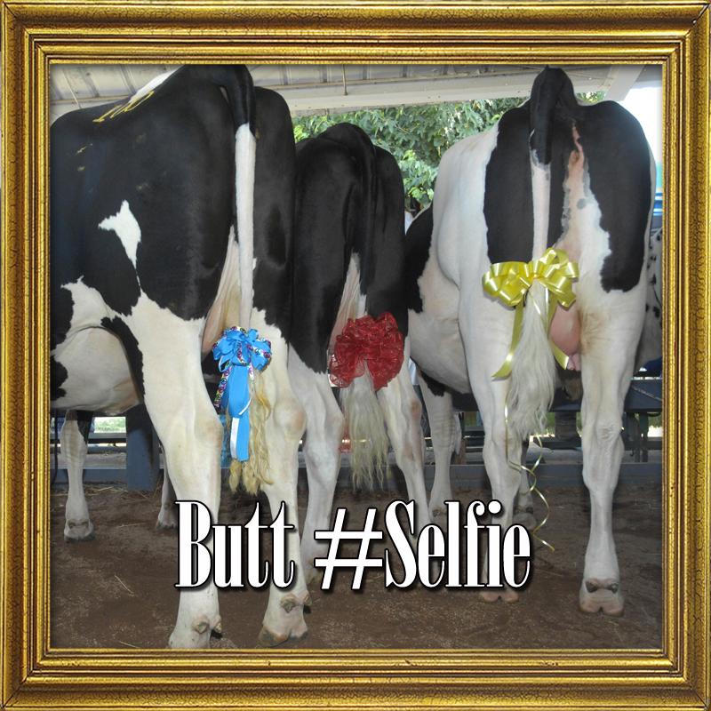 stancofair's tweet photo. No Honey! we will #BreakTheInternet http://t.co/csoG0wpTOH