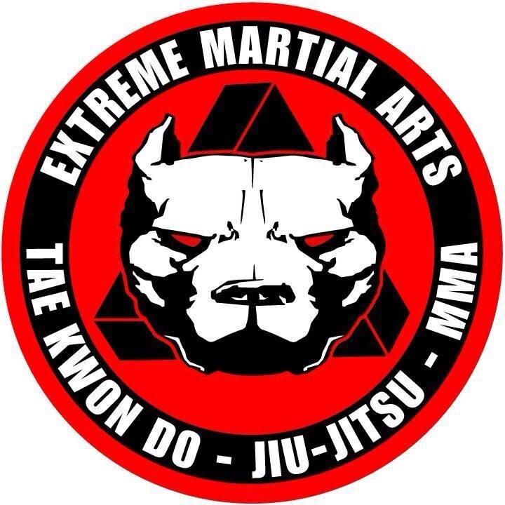 EXTREME MARTIAL ARTS (emafighters) Twitter