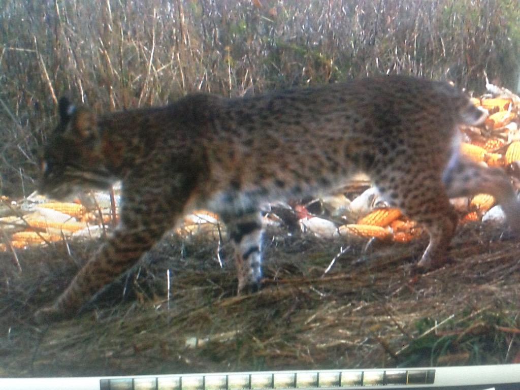 @zachbale02 that's creepy! I got this one on my cam 2 weeks ago!