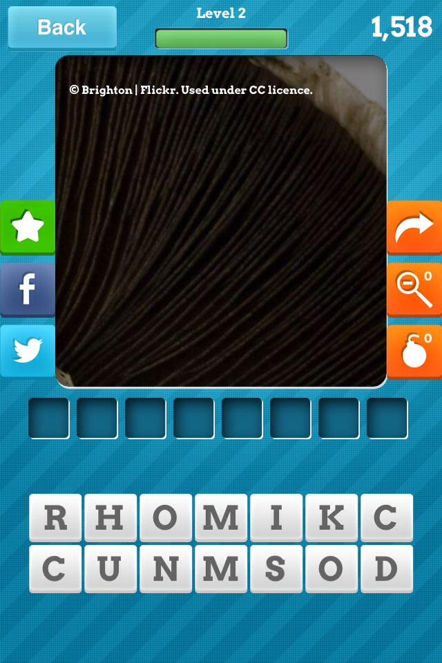 guy_karim's tweet photo. Can anyone guess what this close up is of? #CloseUpPics for iOS: http://t.co/tFDAZ2NOAZ http://t.co/iUZE7vPuNw