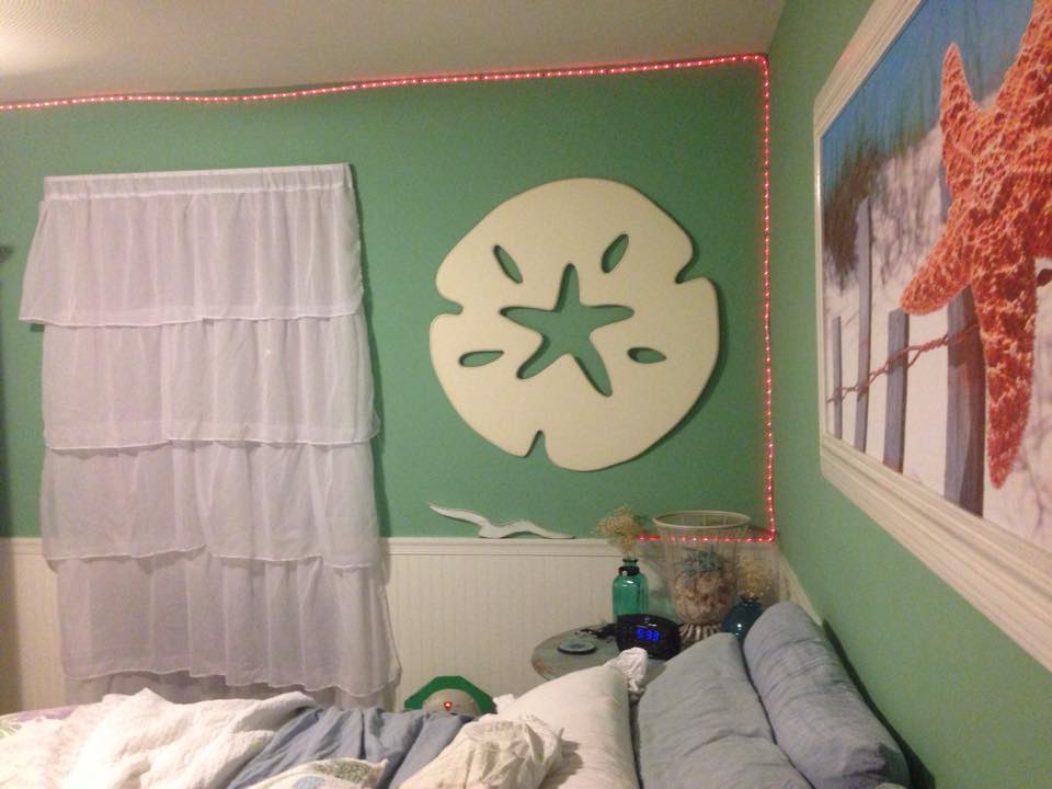 2RustyNails's tweet photo. "Thank you so much for my beautiful sand dollar, it's absolutely perfect," - Laura http://t.co/MbzslM93y7