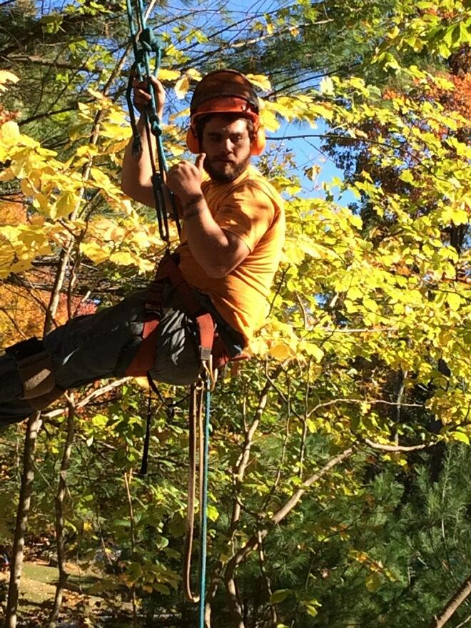 nhtreeguy's tweet image. 