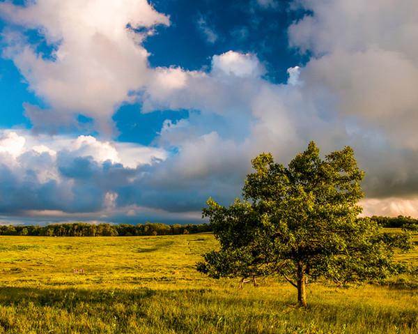 WomensHealthMag's tweet photo. 8 STUNNING must-explore spots across the U.S. http://t.co/iqdPgyYwMA http://t.co/V8jWIs1Vxo
