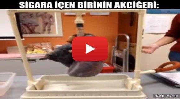 sigara içen ve içmeyenin akciğerleri - sanalsosyal.com/sigara-icen-ve… -