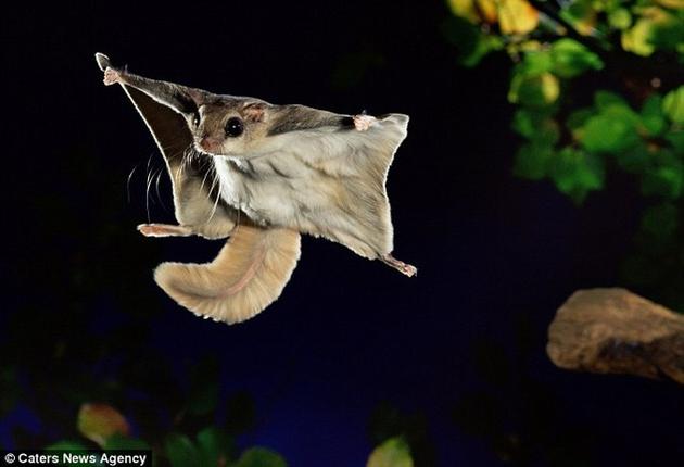 Distinctboxes's tweet photo. Wheeeeee!!!!! - image Kim Taylor https://t.co/sV9c7NKDj5