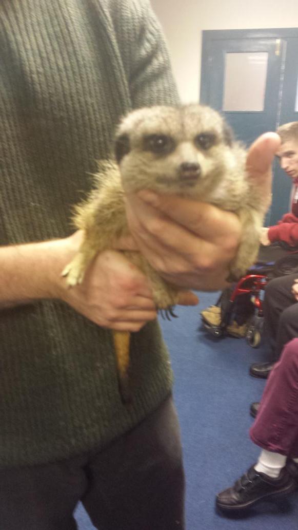 SylviaCANBase's tweet photo. #CaseysCreatures @PortrushNI at #CANBase today with some of his lovely animals! @BallymoneyBase #AnimalLovers http://t.co/FmhlTtBZfo