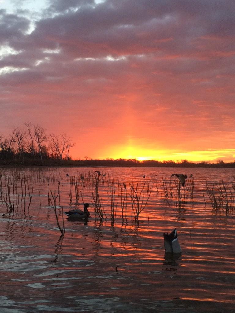 bwfaulk's tweet photo. Sunrise in the duck blind @DakotaDecoy  @RNTCalls http://t.co/Nv3xE1XvRc