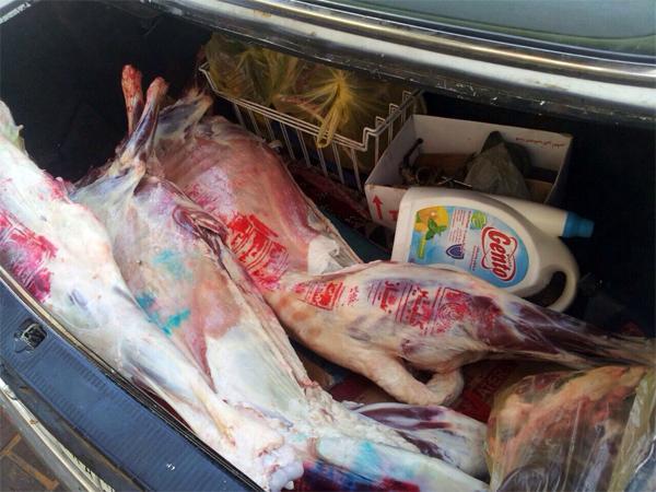 AJELNEWS24's tweet photo. أمانة #الجوف تكشف وافد ينقل اللحوم بسيارته مع المنظفات في بيئة مقززة

#السعودية
- http://t.co/tmN1yj1ODt