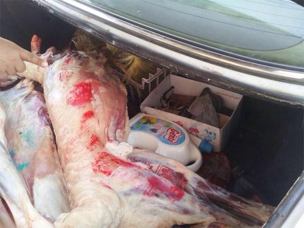 AJELNEWS24's tweet photo. أمانة #الجوف تكشف وافد ينقل اللحوم بسيارته مع المنظفات في بيئة مقززة

#السعودية
- http://t.co/tmN1yj1ODt