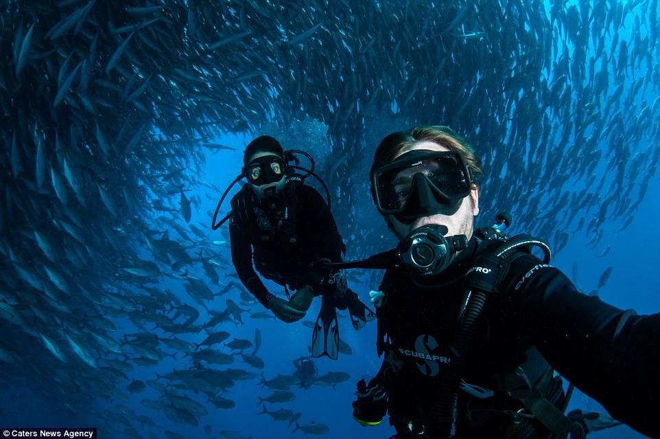 скуба леонелла. нырять с аквалангом. скуба дайвинг. аквалангист под водой. дайвером плавать.