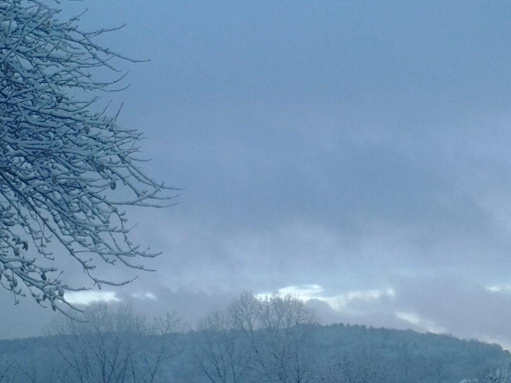 Amber Hoag on Twitter "Today's weather in Bennington snow and cold