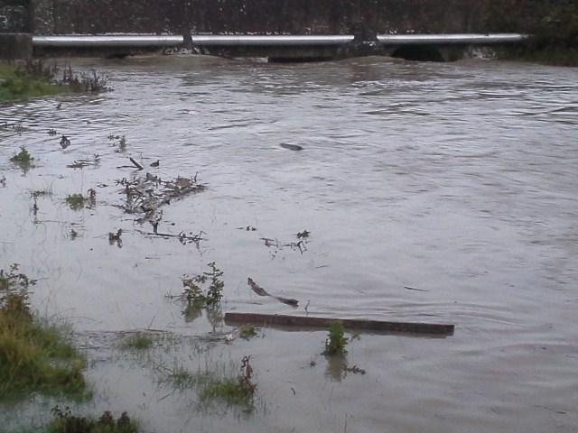 FieldstownFarm's tweet photo. A lot of water flowed under this bridge http://t.co/i4JaGaGoCX