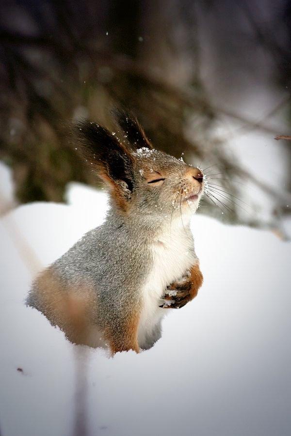 MiltonCheckouts's tweet photo. "Ahhhhhh..." http://t.co/i1Rubl8DUV