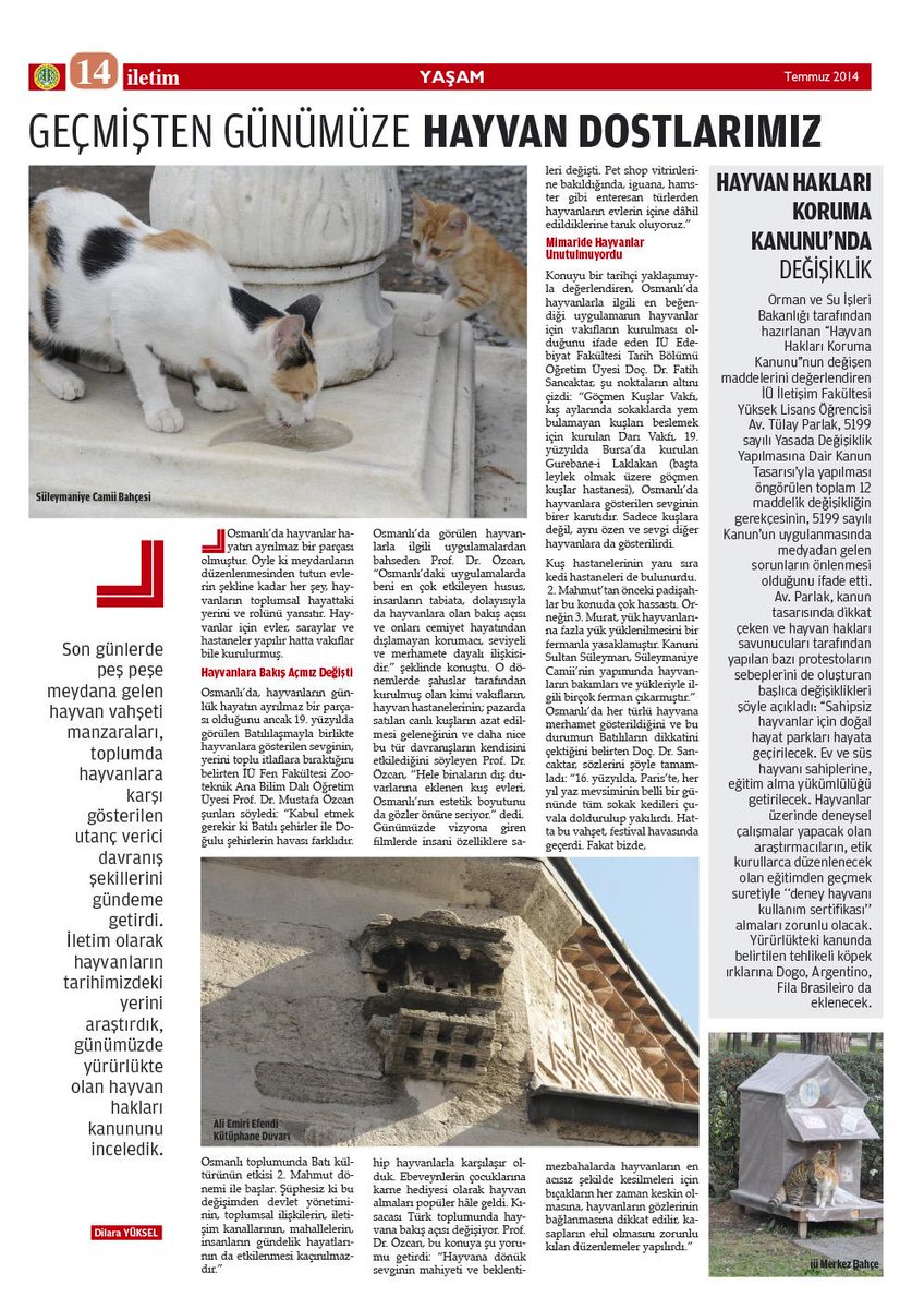 17 Maddede Turklerde Hayvan Sevgisi Ve Hayvan Haklari Onedio Com