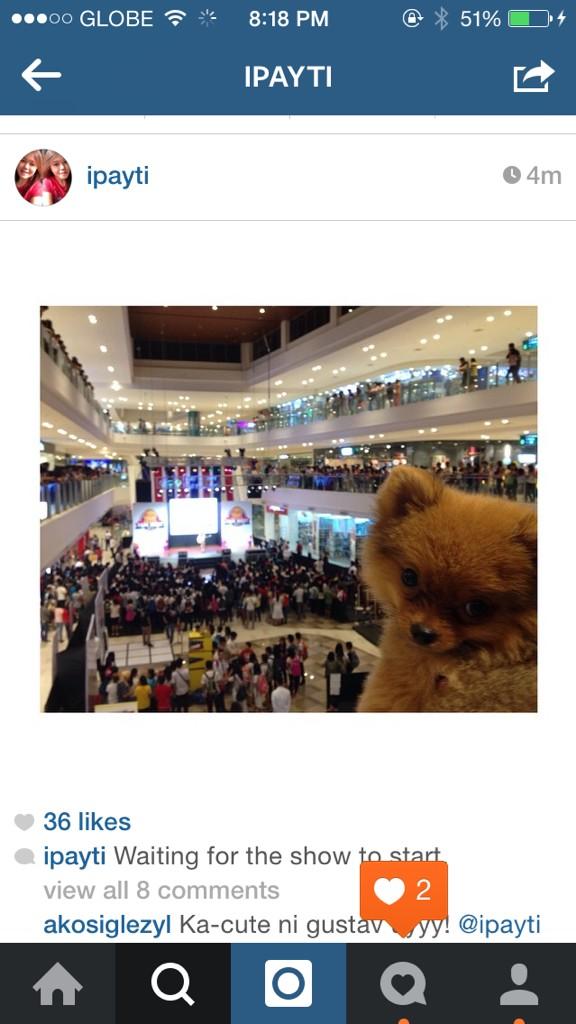 MissMarisRacal's tweet photo. Hahaha supportive litte boy! http://t.co/qk8ZVkpUsu