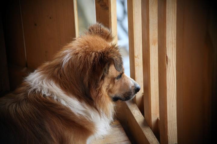 hier sind die 0,3l Flaschen zum abholen und ein Freund der schaut ob du kommst :-)