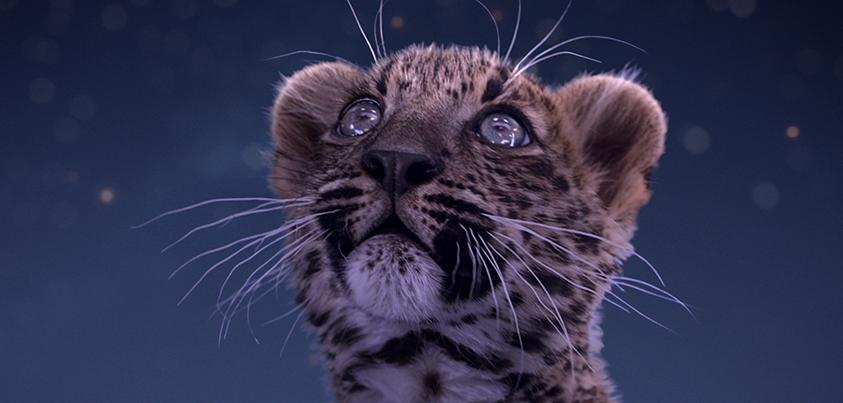 Cartier's tweet photo. Another year, another magical adventure. The new Cartier #WinterTale film is only days away. http://t.co/sjNPLLFILz