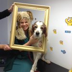 Photo by Shepton Vets (@SheptonVets)
