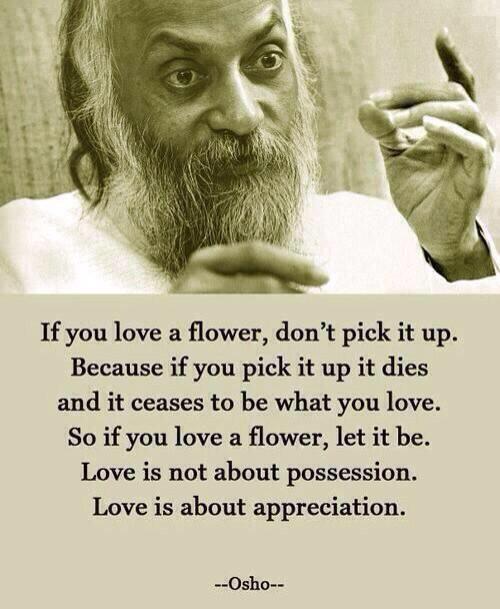 thuraya_1111's tweet photo. LOVE is about Appreciation ...❤️ http://t.co/6NTU6WVjcP