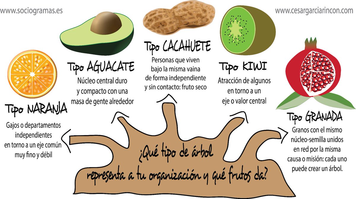ProSocialia's tweet photo. ¿Qué tipo de árbol representa a tu organización y qué frutos da? #sociogramas http://t.co/kHngCBwtEw
