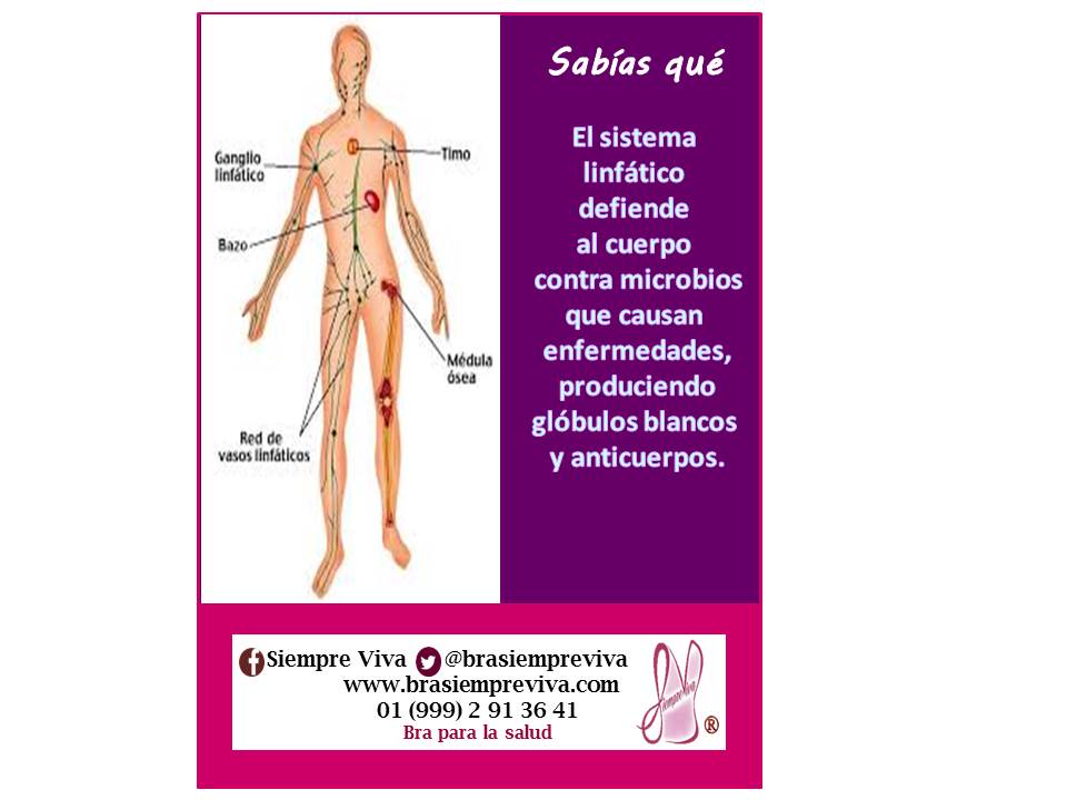 brasiempreviva's tweet photo. #Turbantes El color es el protagonista de estar alegre y usar un   #BraSiempreViva te da comodidad #CancerDeMama http://t.co/WJi9zht7Iw