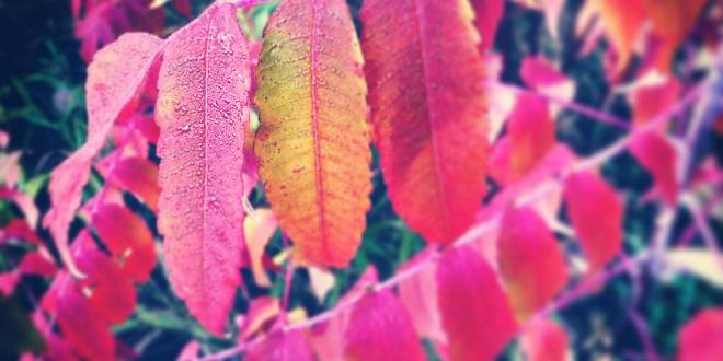 traillocker's tweet image. RT @BlindCourageMov: What Is A Bucket List? bit.ly/1xz5d35 #hiking  #inspiration #backpacking