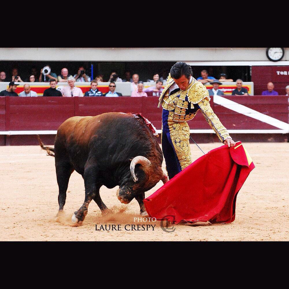 JoselitoArroyoD's tweet photo. "Se deja de torear pero jamás de ser torero"
Fotografía: @LaureCrespy http://t.co/fCxvI0yAEr